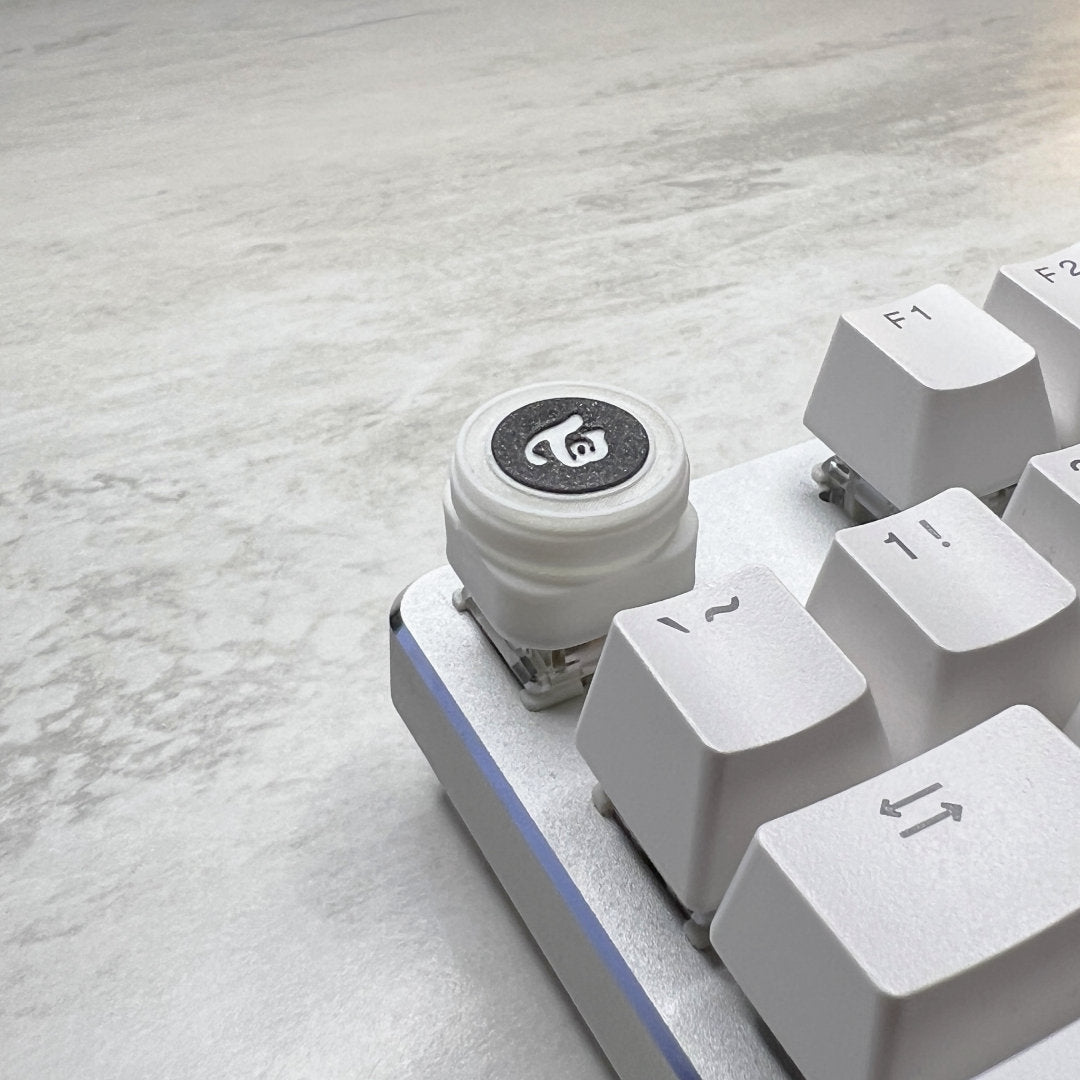 TWICE Keycap & Keychain | Stress Relief Fidget Toy | KPOP Lightstick Collection | 3D Printed Gifts